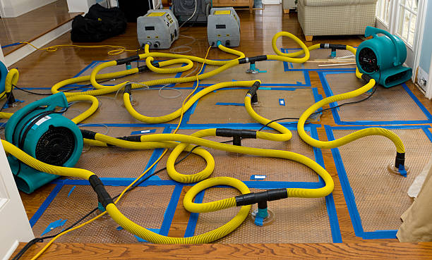 Professional Structural Drying And Dehumidification technician working in Nova, OH
